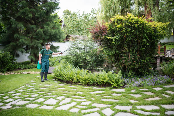 Wildlife Control Services in Lowell, MA