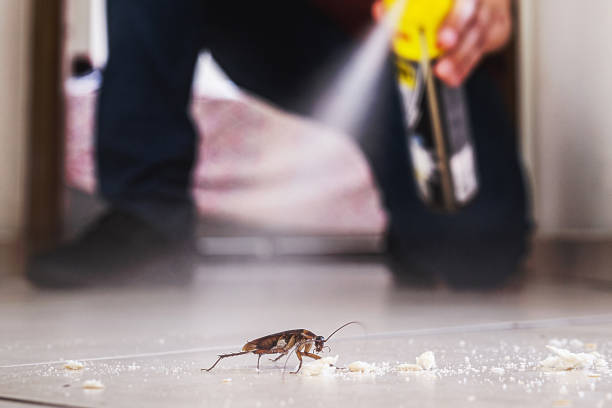 Best Residential Pest Control  in Lowell, MA