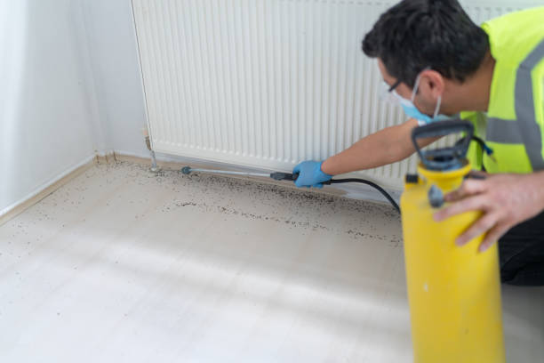 Best Local Pest Control Services  in Lowell, MA